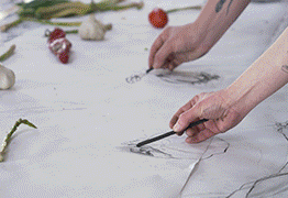 Escuela SUR Curso Fundamental de Artes y Profesiones Artísticas