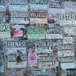 Paisajes de palabras