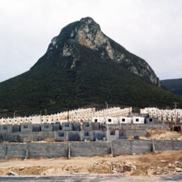 Alejandro Cartagena. Proyectos: 2005–2026